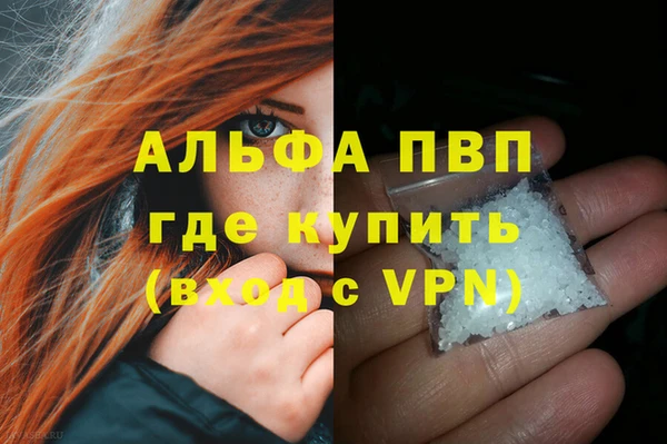 молекула духа Алексин