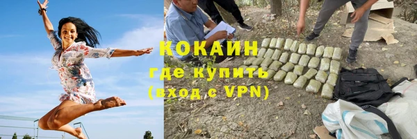 молекула духа Алексин