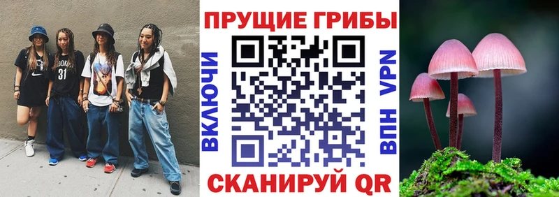 Галлюциногенные грибы прущие грибы  Клин 